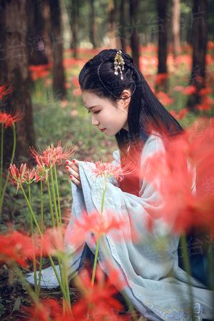 卯上蛊惑妃：邪女戏悍夫